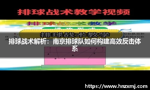 YY体育