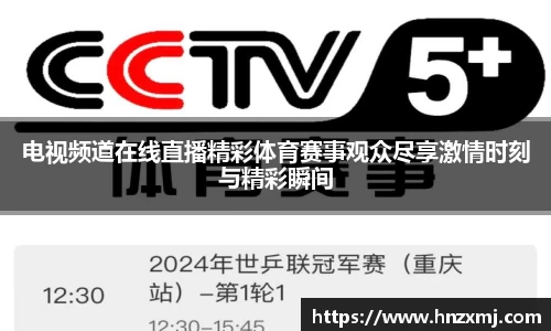 易游m6