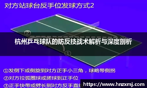 YY体育