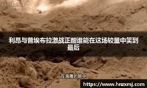 YY体育